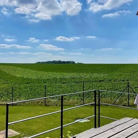 Peaceful Garden In *