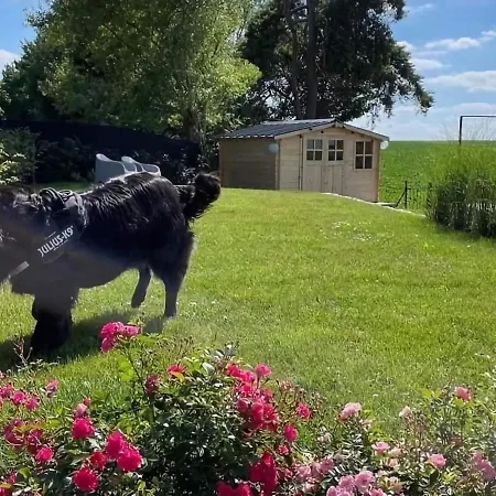 Peaceful Garden In Дом отдыха *