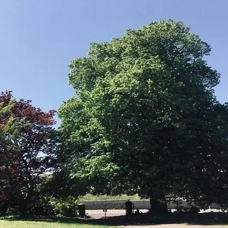 Peaceful Garden In Ferienhaus