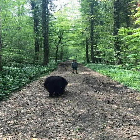 Дом отдыха Peaceful Garden In *