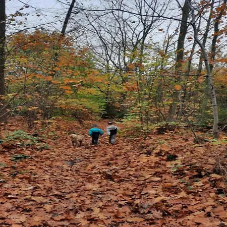 Peaceful Garden In Дом отдыха Модав